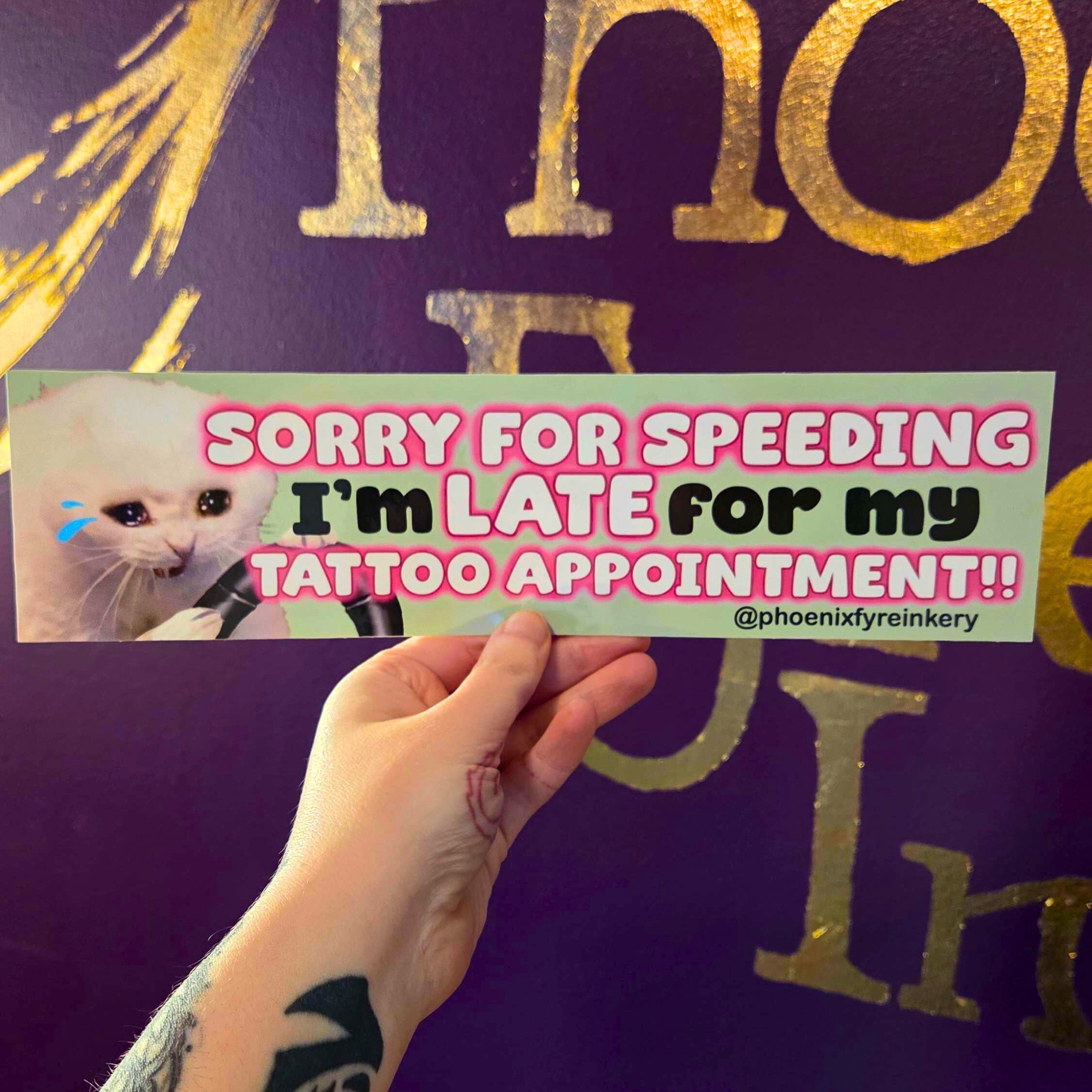 Sorry For Speeding Bumper